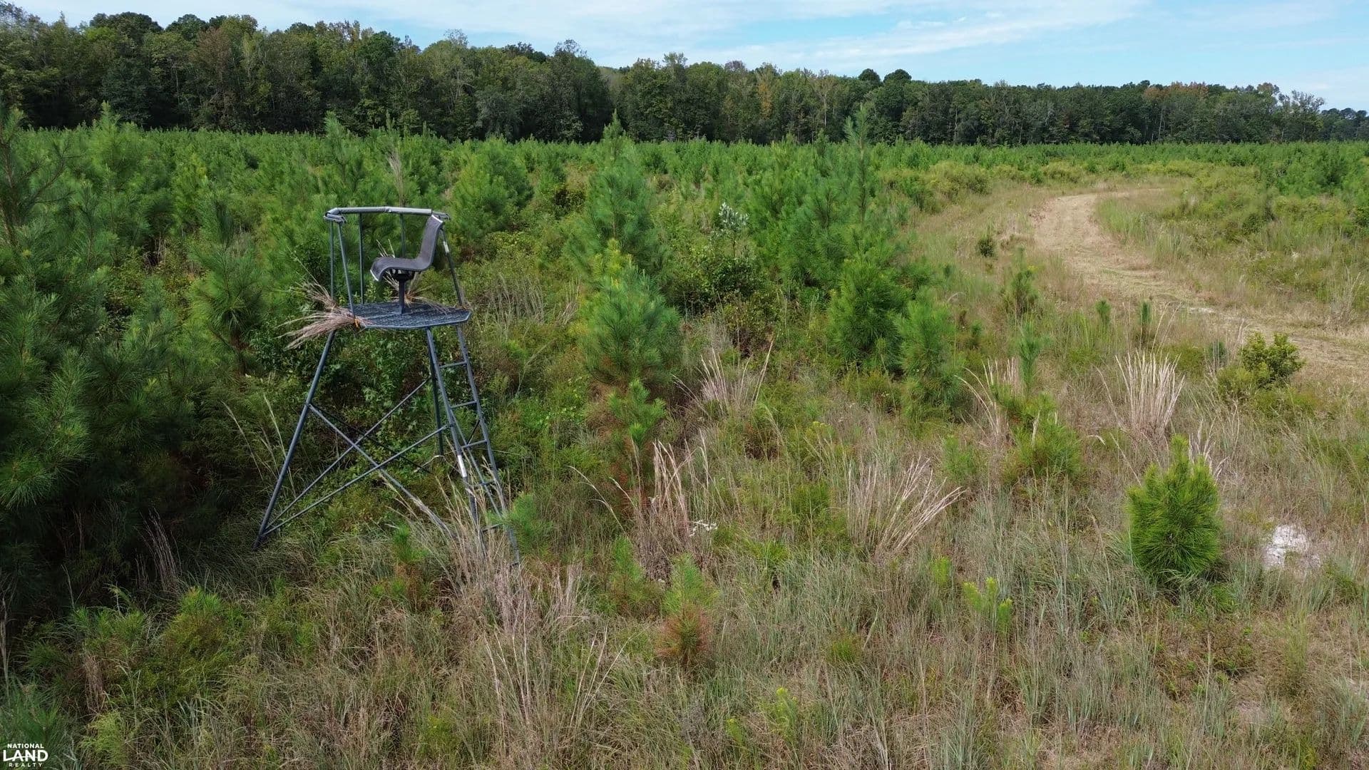 Indian Field Swamp Hunting Property - Timber Investment - Saint George, South Carolina, 29477