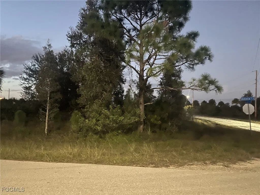 Vacant Land in Lehigh Acres - land for sale