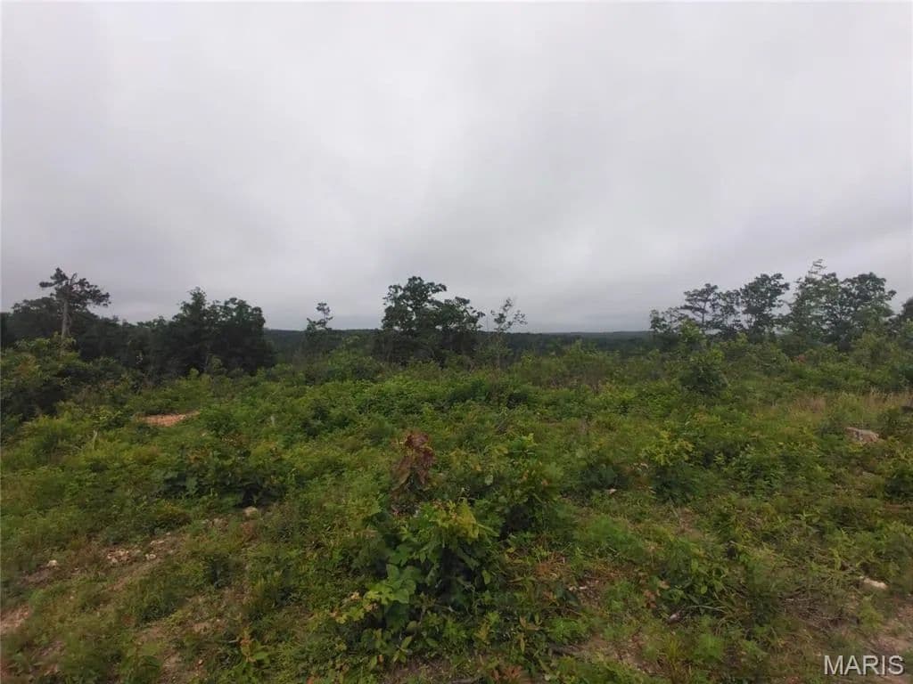 19.01 Acres of Land for Sale in Belleview, MO - Belleview, Missouri, 63623