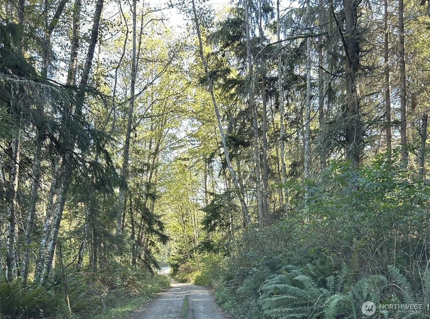 Vacant Land in Greenbank - Greenbank, Washington, 98253