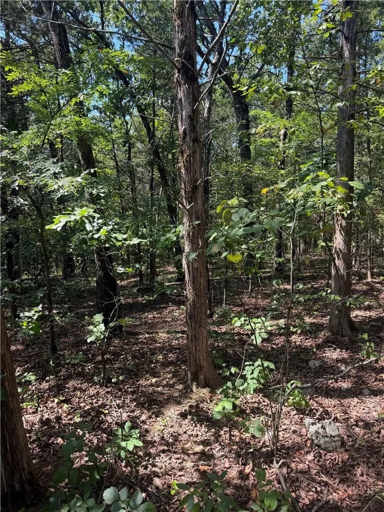 Lots & Land-Other in Diamond City - Diamond City, Arkansas, 72644