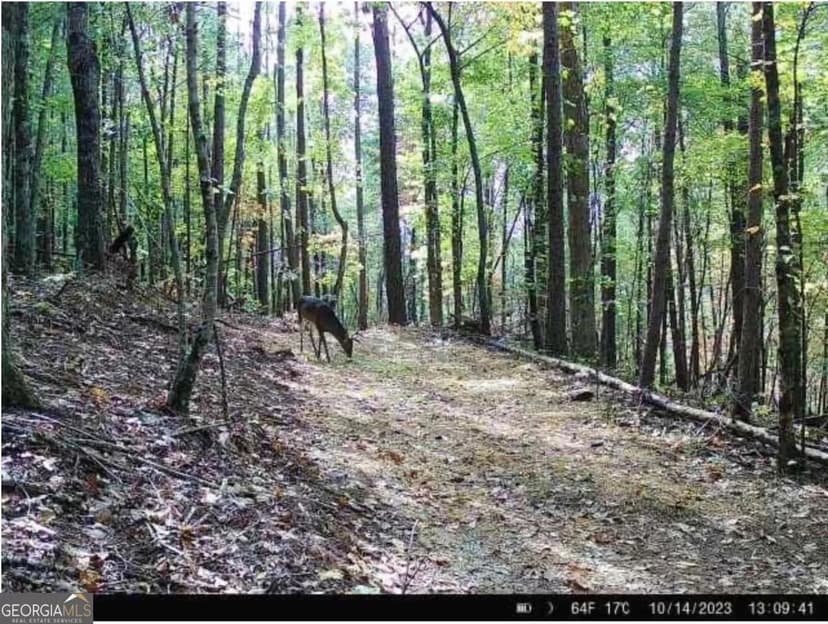 Property from 2691 Old Burnt Mountain Road - KW