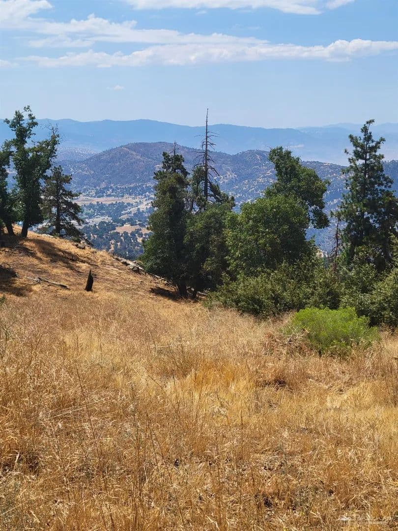 Property from 26700 Winter Court - KW