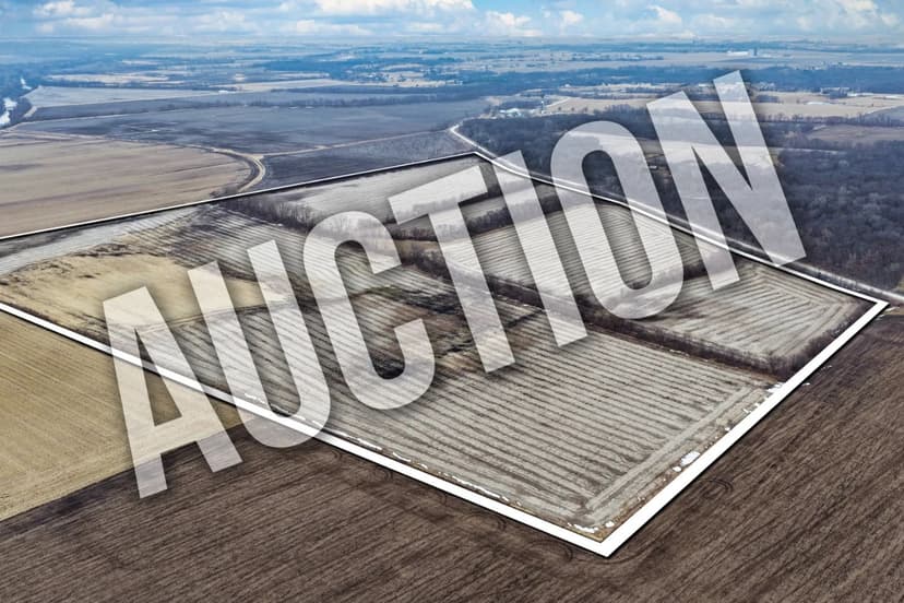 Polk County Iowa Land Auction | 135.51± Acres with 81.4 CSR2 & Strong Highway Access