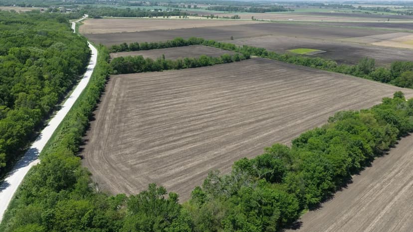 Polk County Iowa Land For Sale | 135.51± Acres with 81.4 CSR2