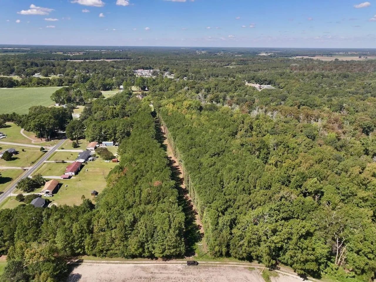 UNDER CONTRACT!!  16.5 acres of Hunting & Timberland for Sale in Greene County NC! - Hookerton, North Carolina, 28538