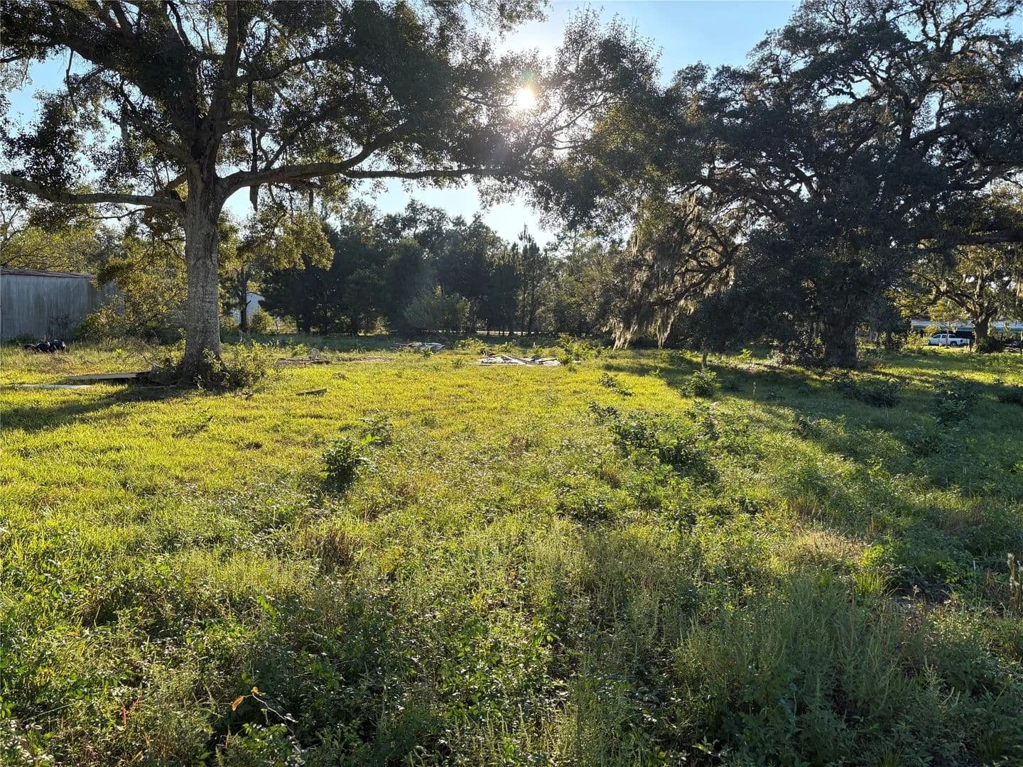2.84 Acres of Land for Sale in West Columbia, Texas - West Columbia, Texas, 77486