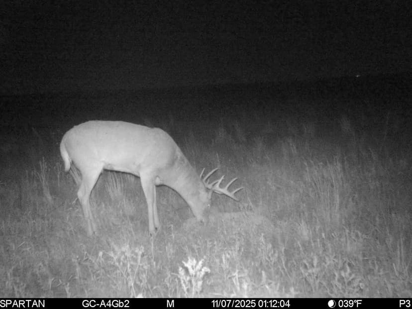 CRP Investment & Recreational Parcel