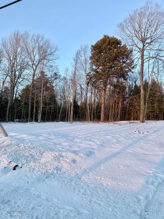 Lots & Land-Other in Old Town