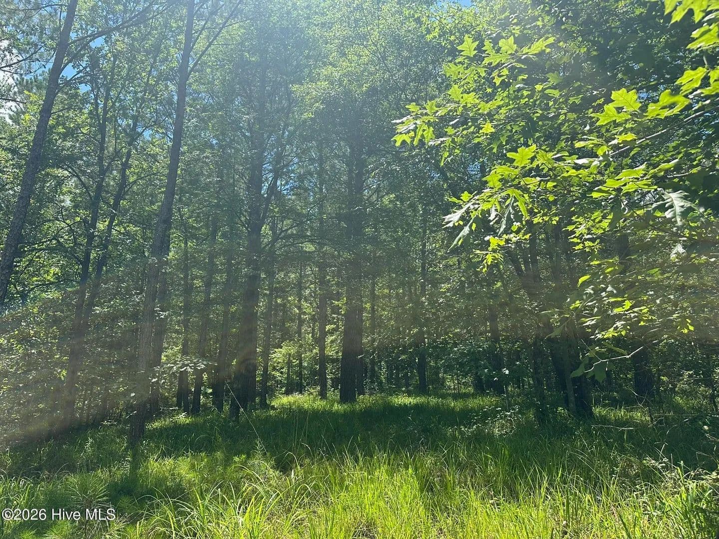 Property from Lot 29 Honeysuckle Trail - KW - Lincolnton, Georgia, 30817