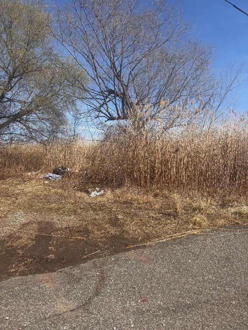Vacant Land in Staten Island - Staten Island, New York, 10306