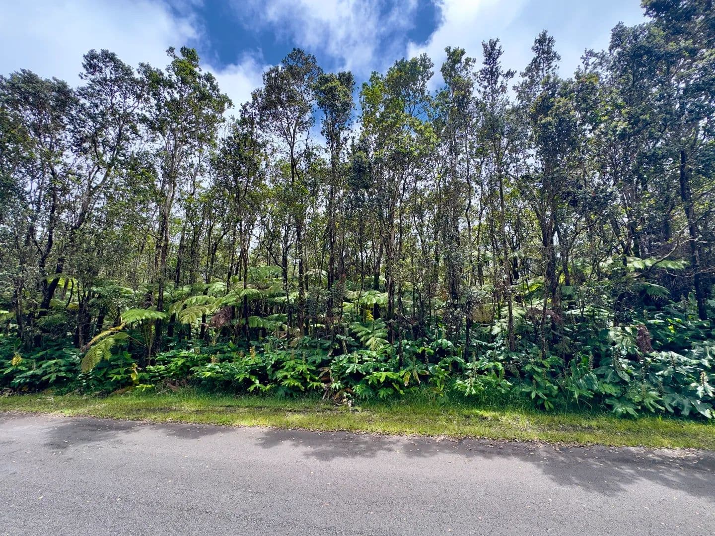 0.46 Acres of Land for Sale in Volcano, HI - Volcano, Hawaii, 96785
