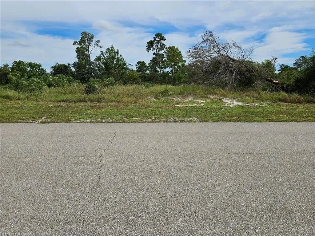 Lots & Land-Other in Lake Placid - land for sale