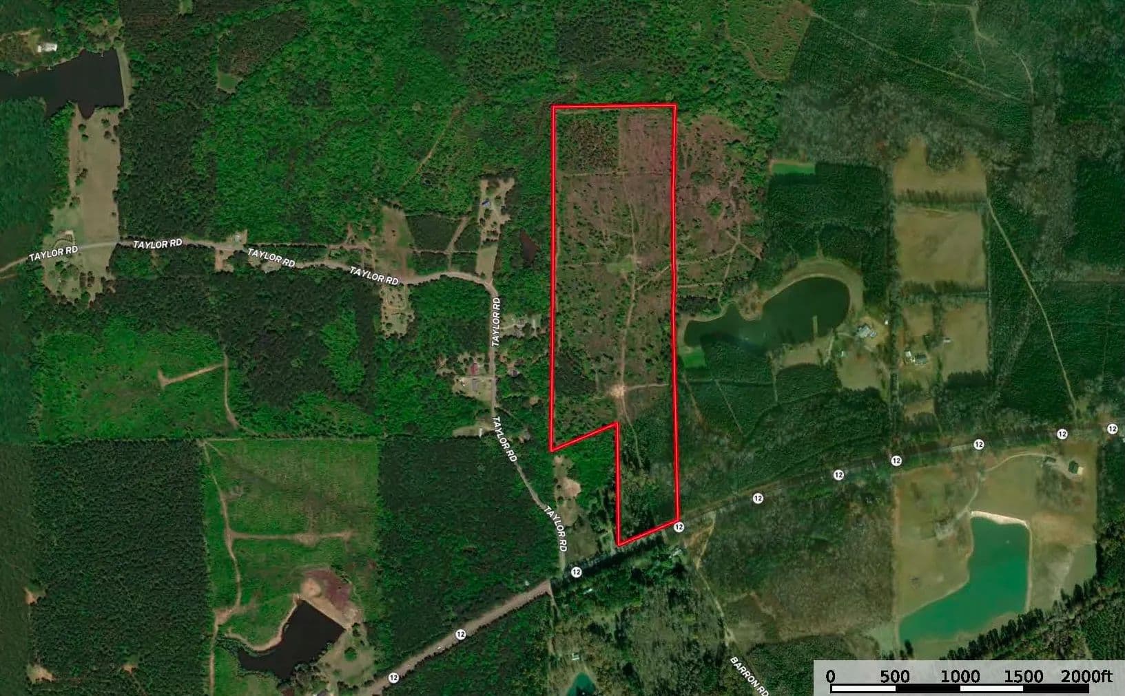 63 Acres Land For Sale Near Starkville MS - Sturgis, Mississippi, 39769