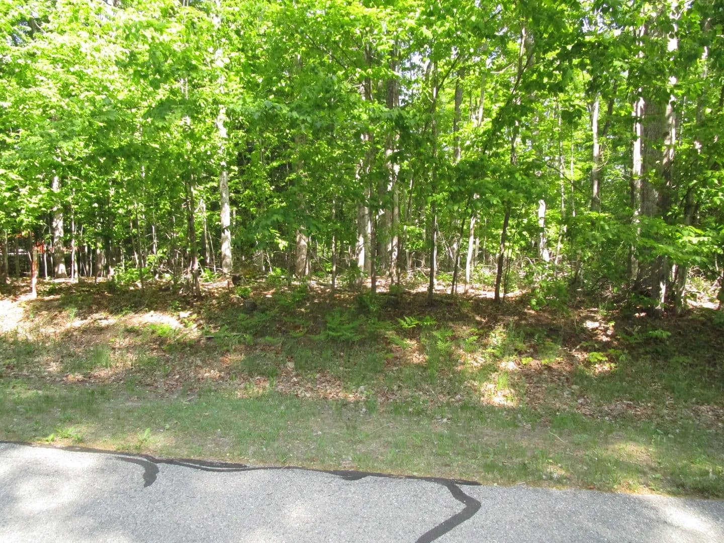 Property from 11190 Hassler Woods Trail - KW - Alanson, Michigan, 49706