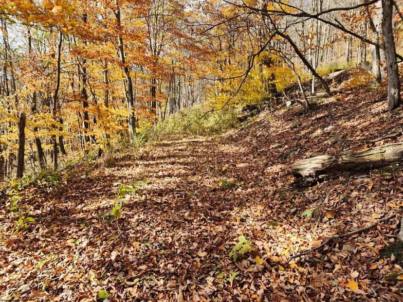 Lots & Land-Other in Harman