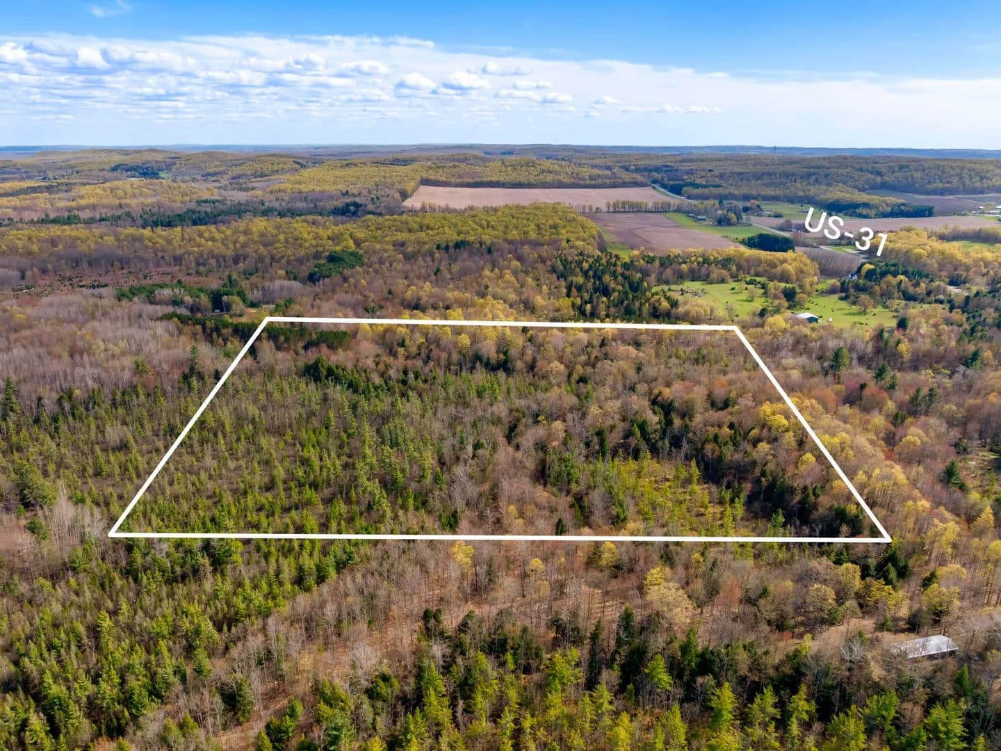 Vacant Land in Benzonia - Benzonia, Michigan, 49616