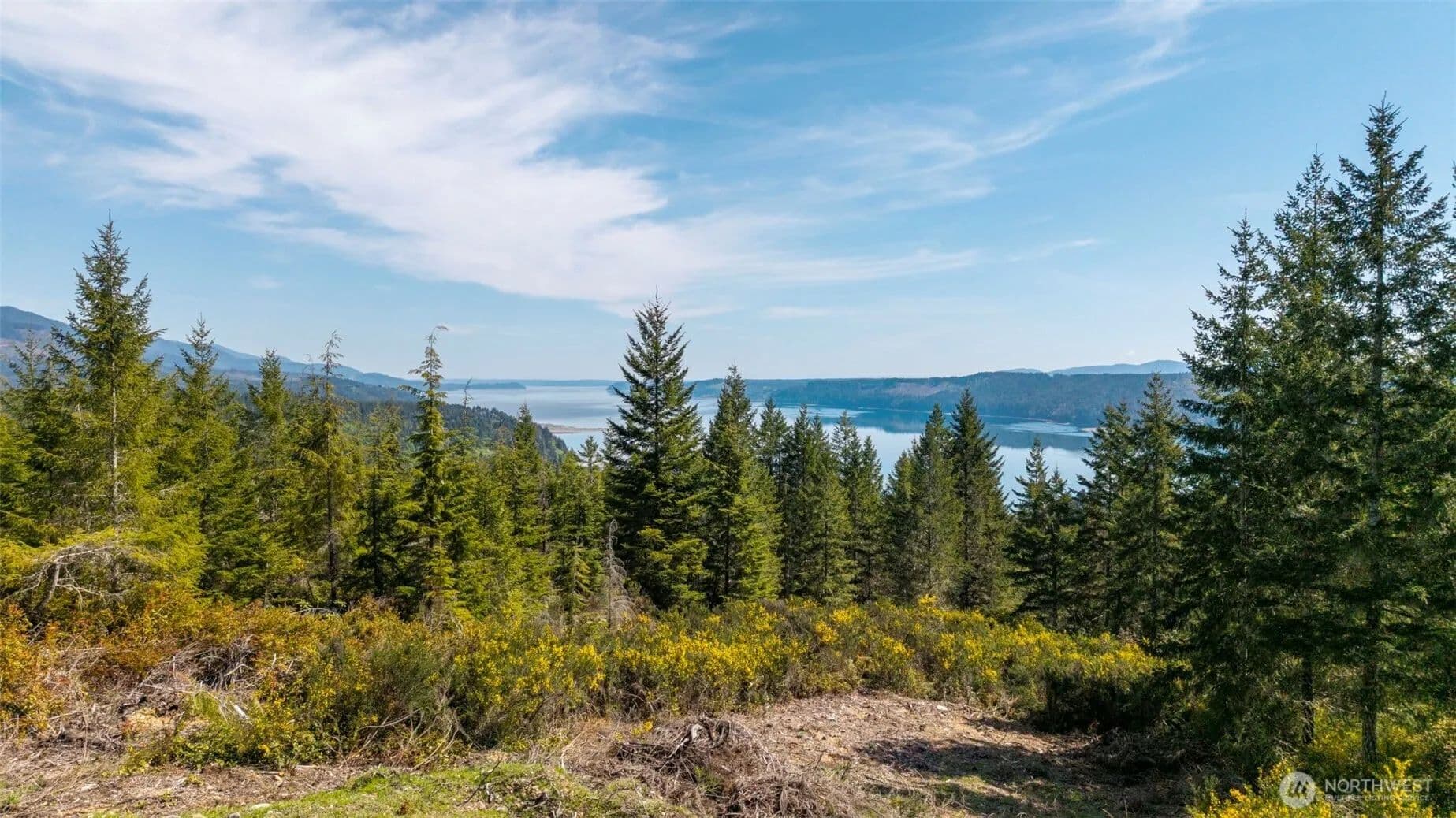 Vacant Land in Lilliwaup - Lilliwaup, Washington, 98555