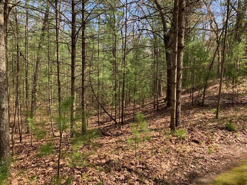 Lots & Land-Other in Pentwater