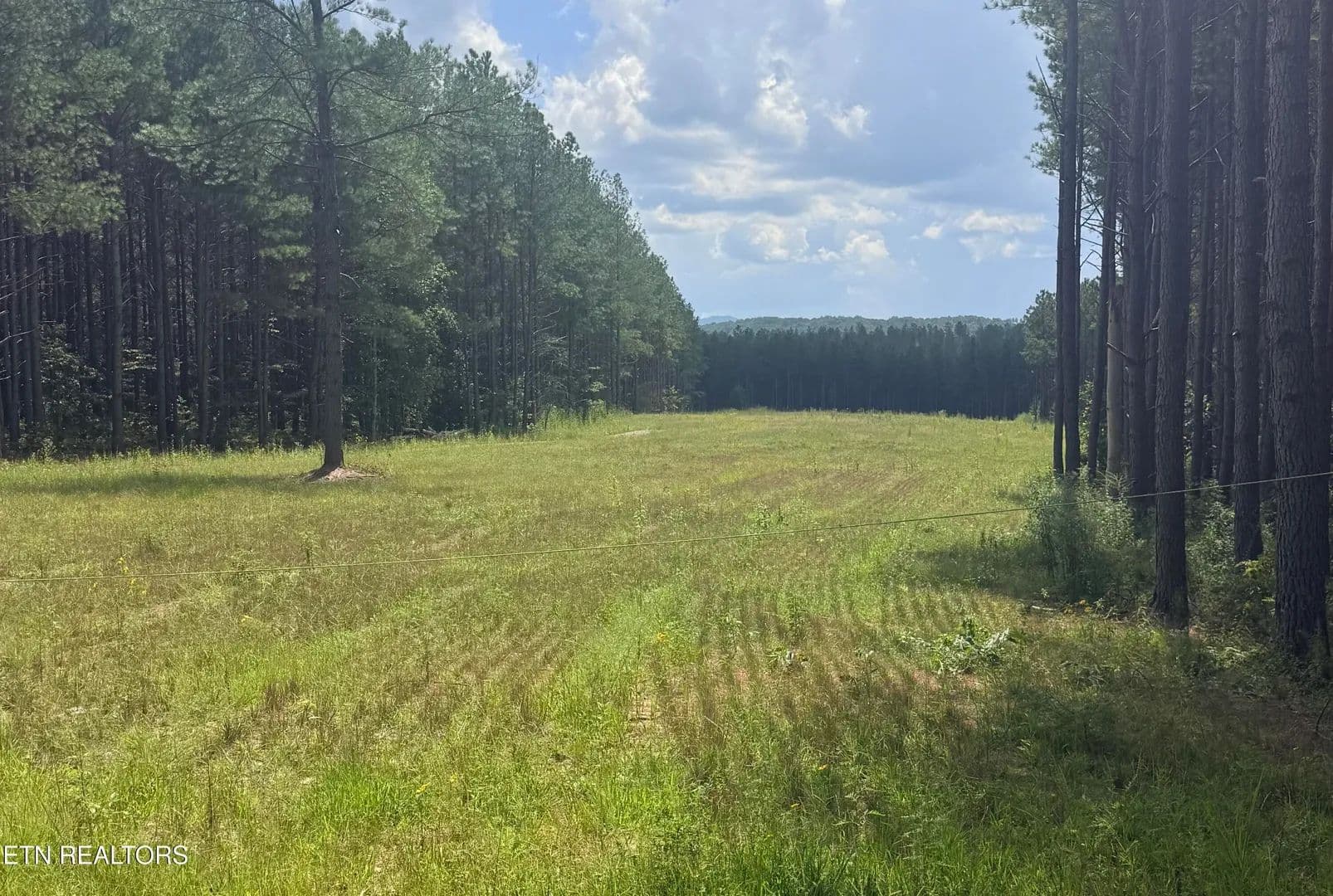 17.9 Acres of Land for Sale in Sunbright, TN - Sunbright, Tennessee, 37872