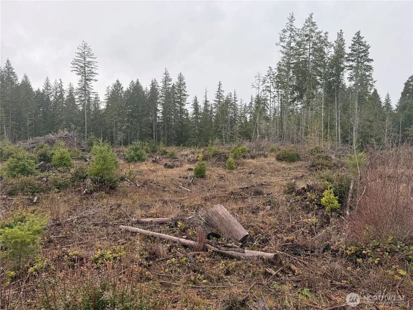 Vacant Land in Shelton