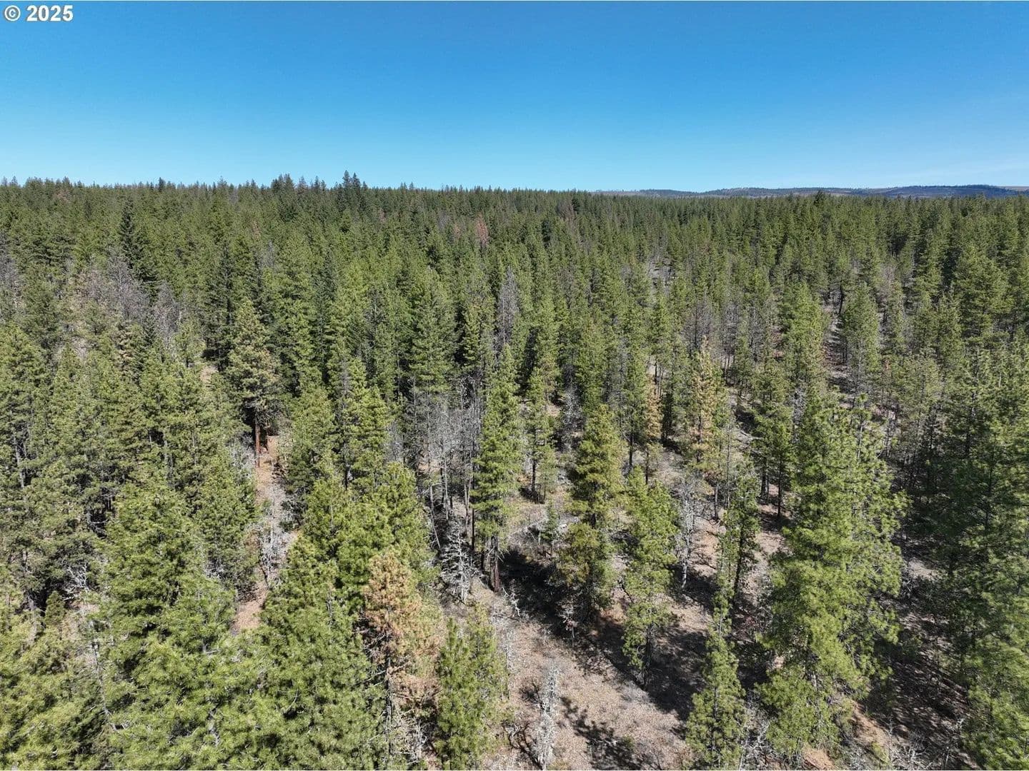 Lots & Land-Other in Goldendale - Goldendale, Washington, 98620