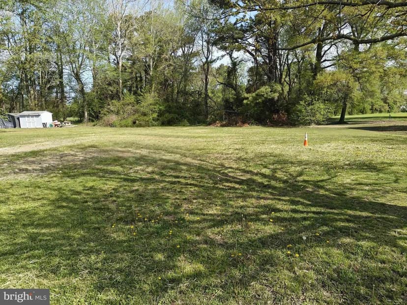 Vacant Land in Federalsburg