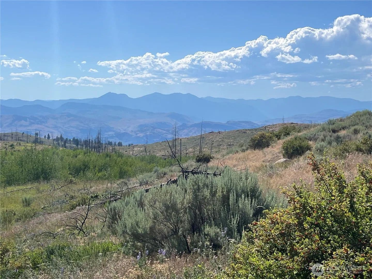 Lots & Land-Other in Oroville - Oroville, Washington, 98844