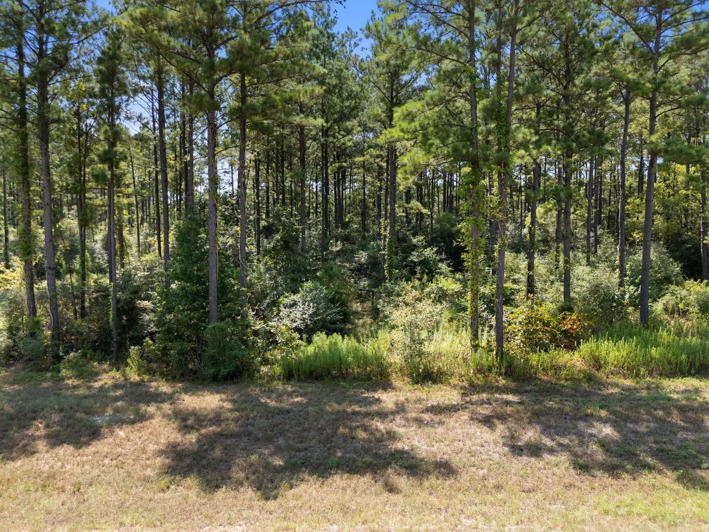 2 Acres of Land for Sale in Willis, TX - Willis, Texas, 77378