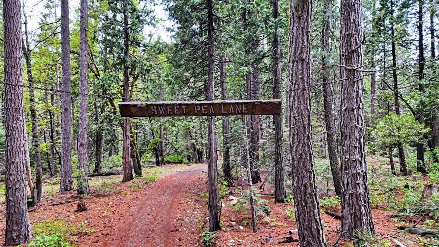 Property from 0 Texas Hill Rd - KW - Emigrant Gap, California, 95715