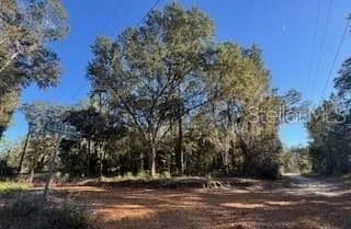 Lots & Land-Other in FORT MC COY - Fort Mc Coy, Florida, 32134