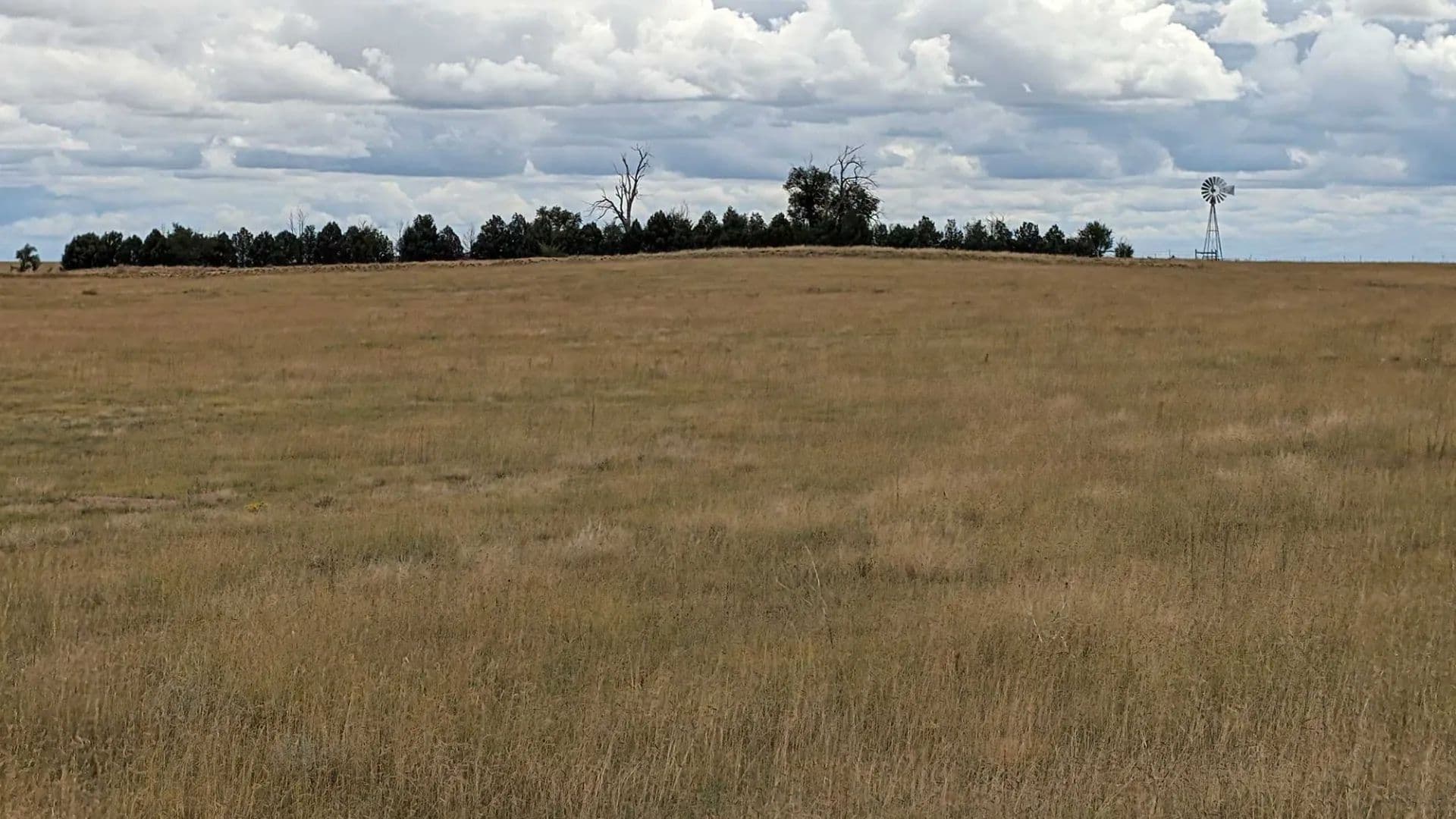 Pfost Farm & Grass Ranch - Rush, Colorado, 80833