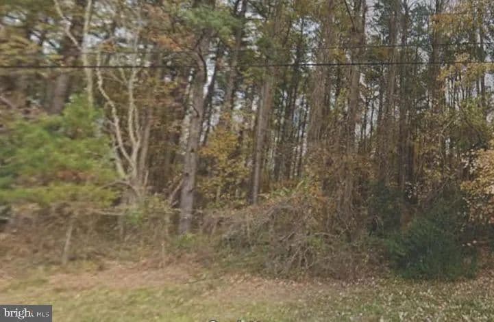 Vacant Land in Stevensville