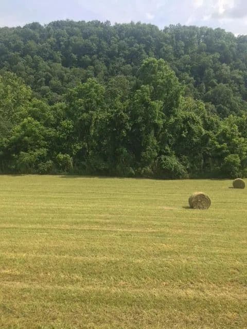Vacant Land (0-10 Acres) in Tazewell - Tazewell, Tennessee, 37879