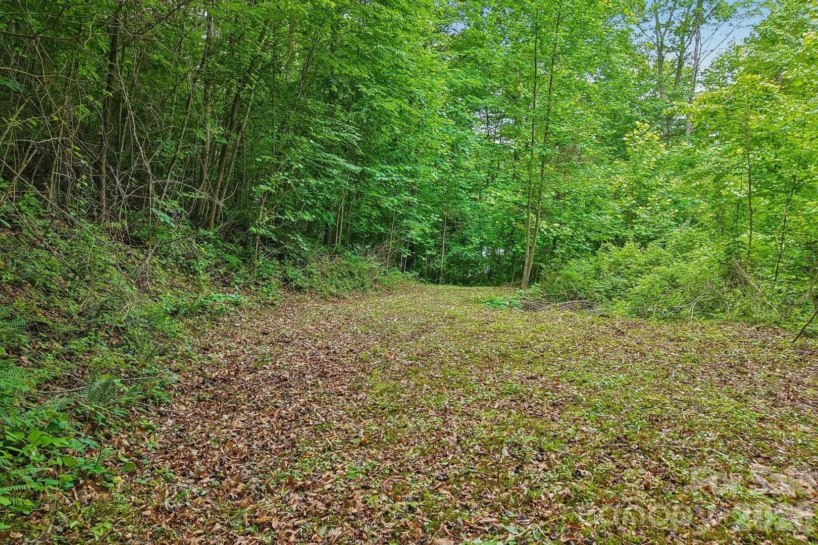 1.24 Acres of Land for Sale in Waynesville, North Carolina - Waynesville, North Carolina, 29786