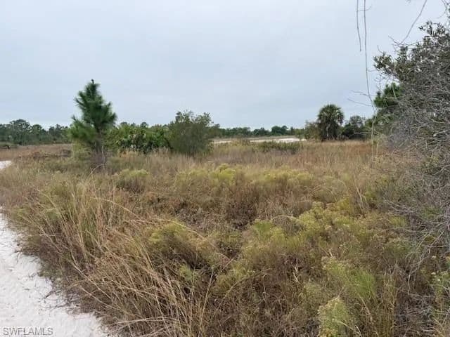 Vacant Land in Naples