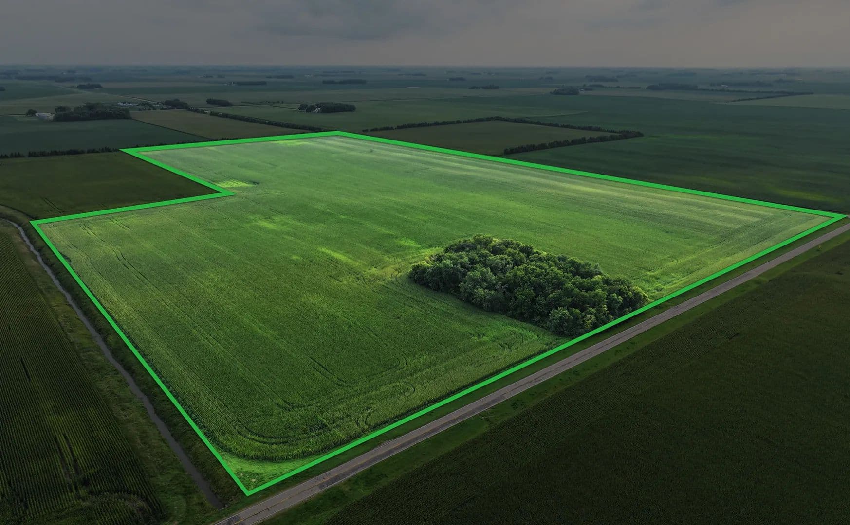 105± Acre Farm Auction Martin County - 