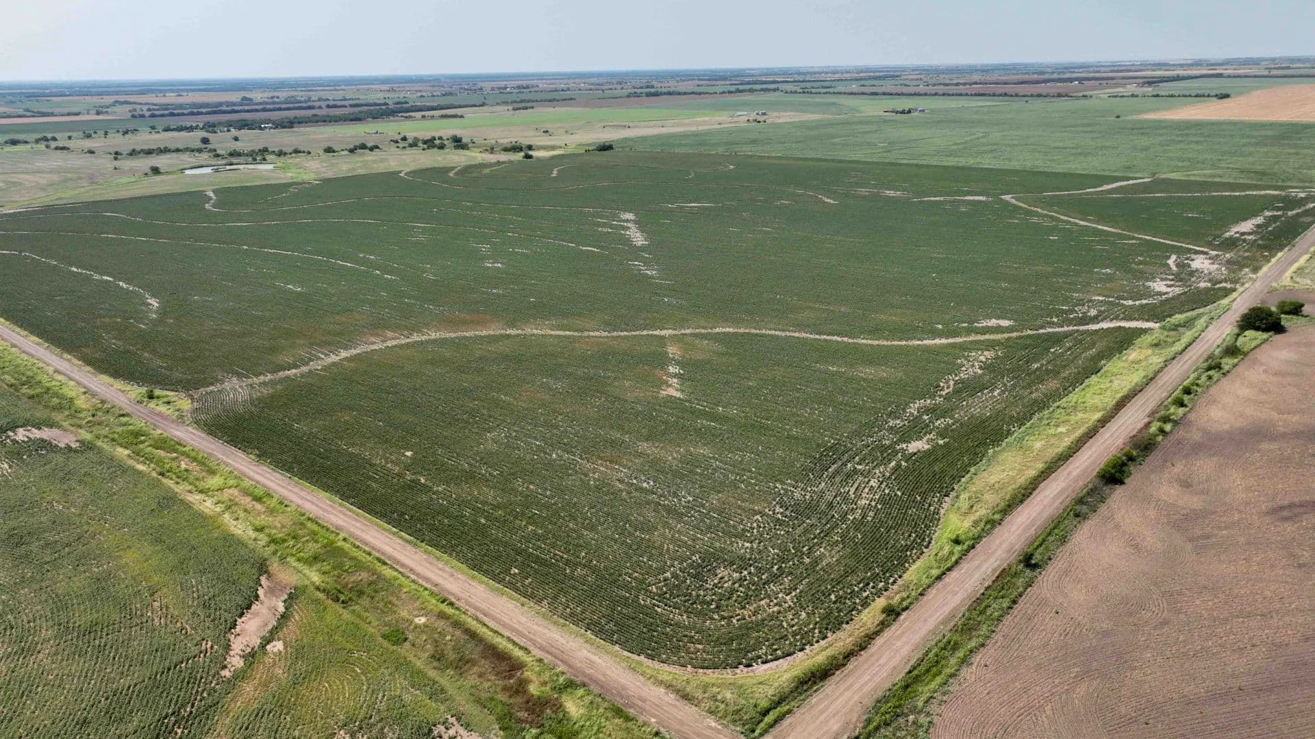 157.6± Acres Cropland with Class II Soils & More! Tract 3 of 5 - South Haven, Kansas, 67140