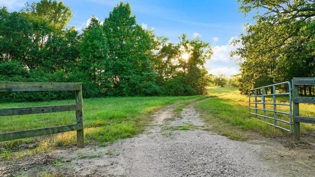 Vacant Land in Detroit - Detroit, Texas, 75438