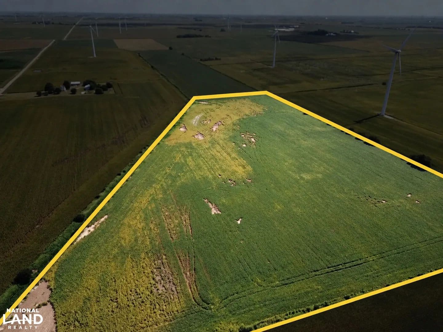 Farmland Investment Ellsworth Tract 3 - Ellsworth, Illinois, 61737