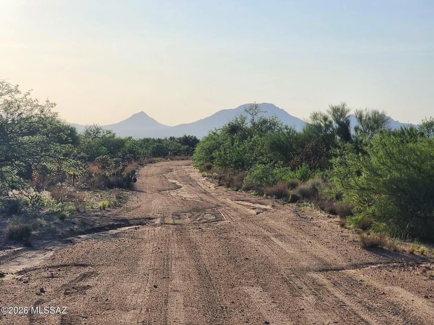 Vacant Land in Tucson - Tucson, Arizona, 85736