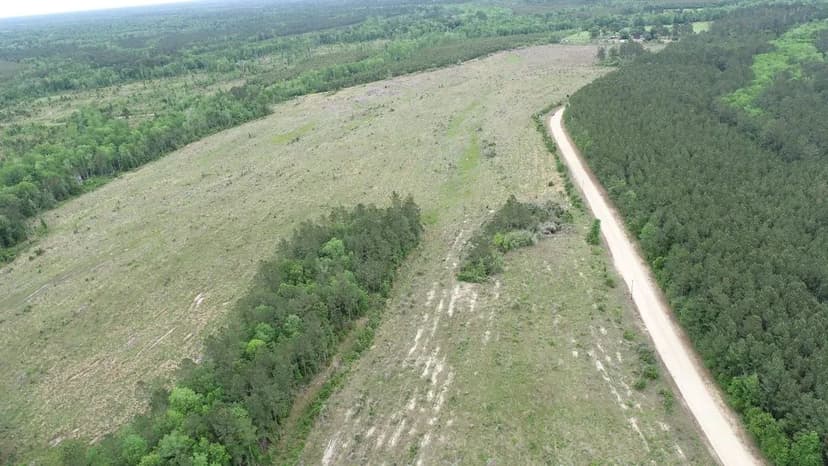 Forest River Tract 22