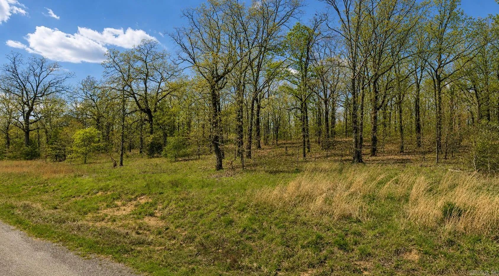 Lots & Land-Other in Vilonia - Vilonia, Arkansas, 72173