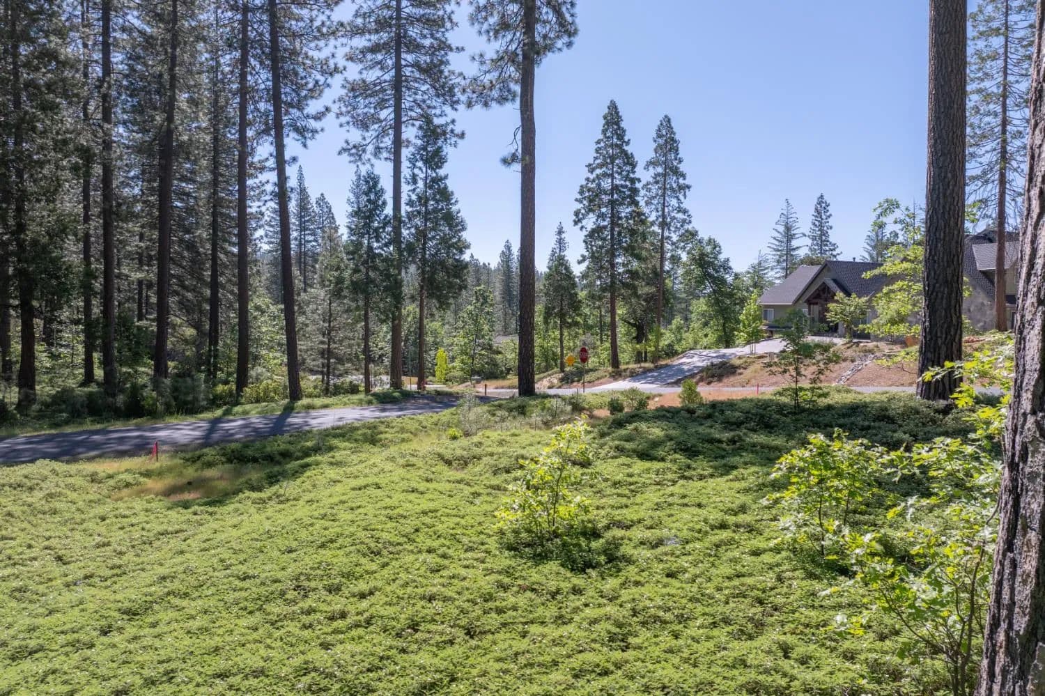 Lots & Land-Other in Avery - Avery, California, 95224