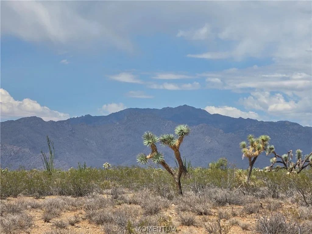 Vacant Land in Yucca - Yucca, Arizona, 86438