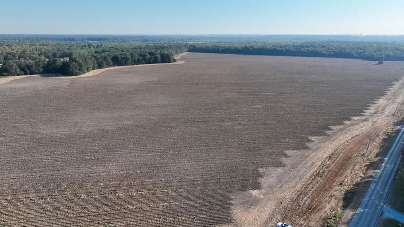 OKTIBBEHA COUNTY - 121 ACRES