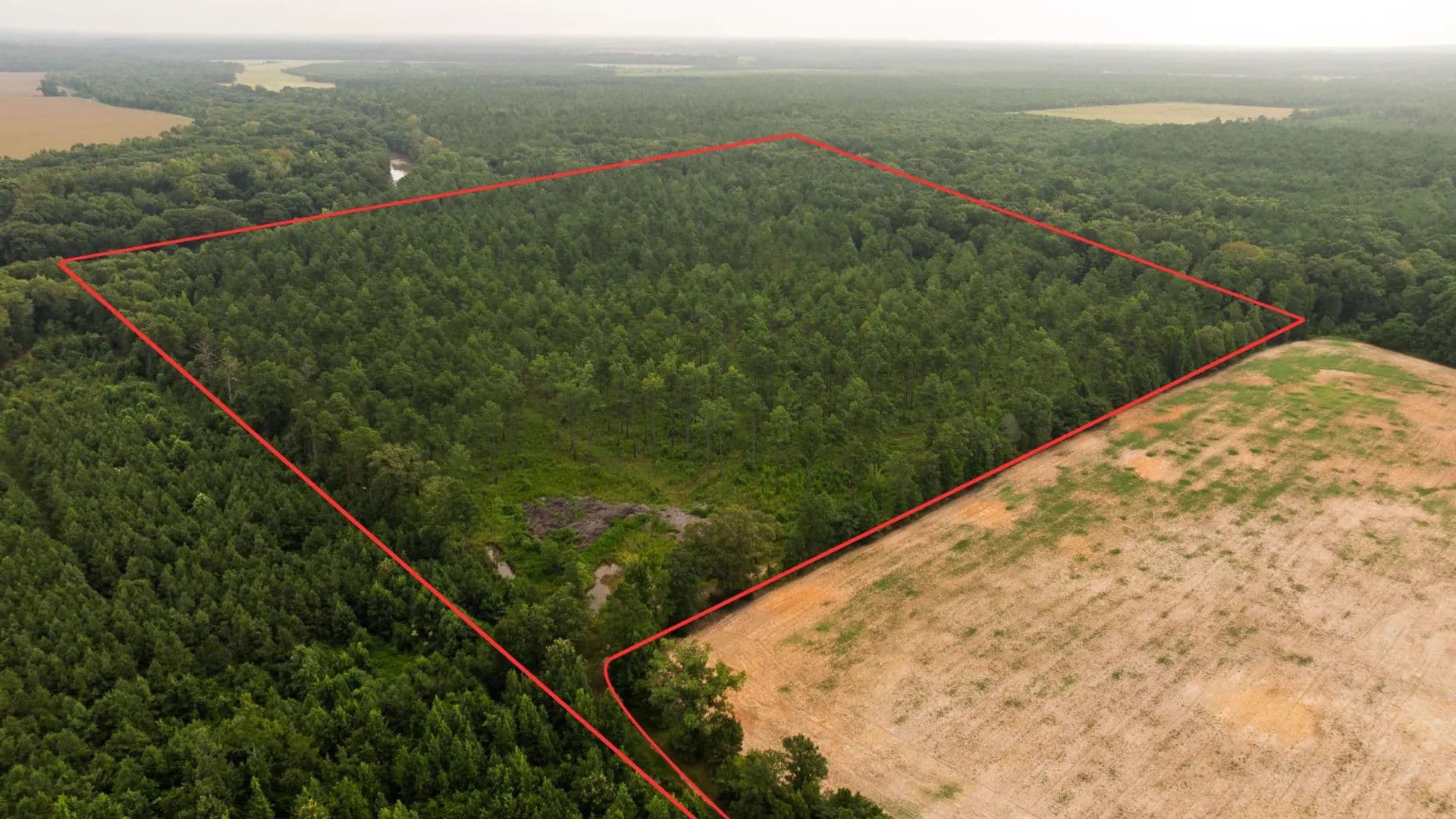 Affordable Morehouse Parish Land for Sale - Bastrop, Louisiana, 71220