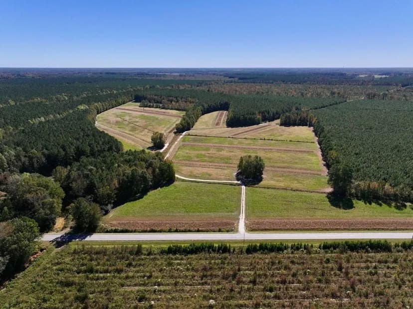 UNDER CONTRACT!! 135.25 Acres of Agricultural, Timber, and Recreational Land for Sale in Pitt County, North Carolina!