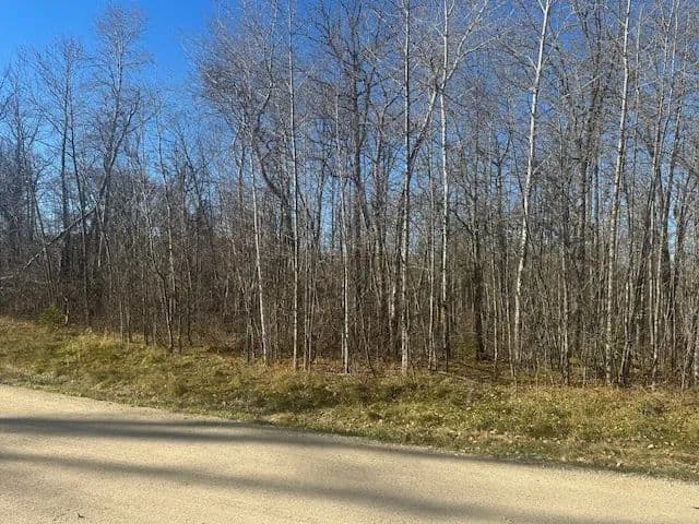 Vacant Land (0-10 Acres) in Bemidji - Bemidji, Minnesota, 56601