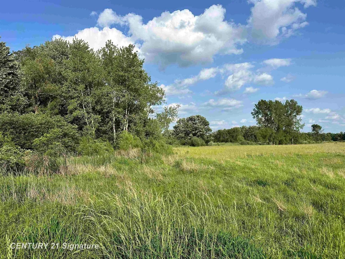Vacant Land in Beaverton - Beaverton, Michigan, 48612